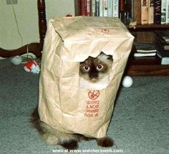 VIDEO HUMOR CLIPS video humor clips: