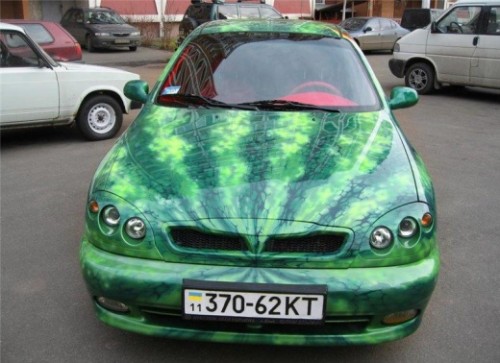 [Immagine: 4.jpg]