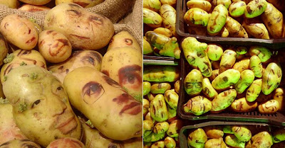 Potato Portraits (2) 2