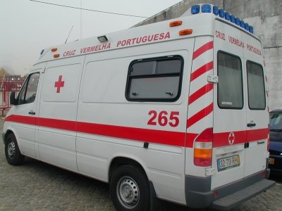 [1Z270008.JPG]