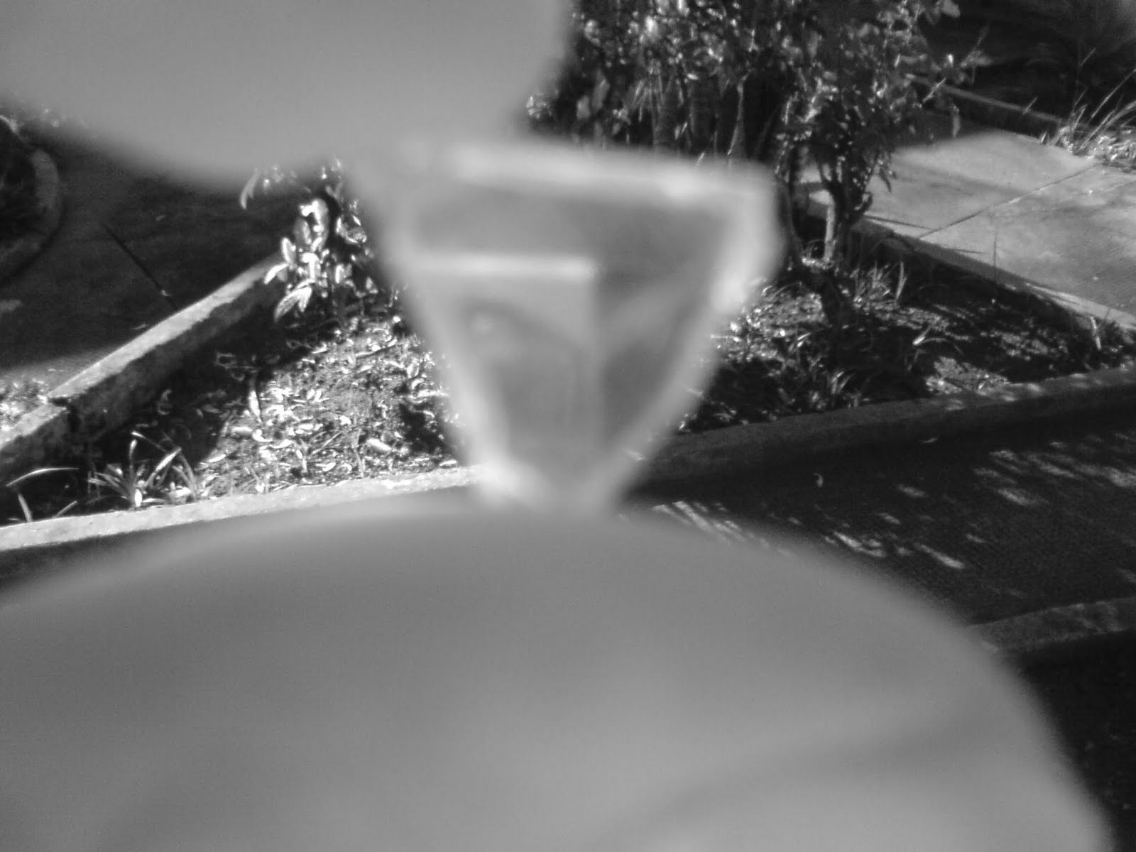 [DSC00085.JPG]