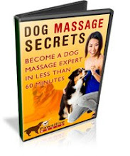 dog massage course