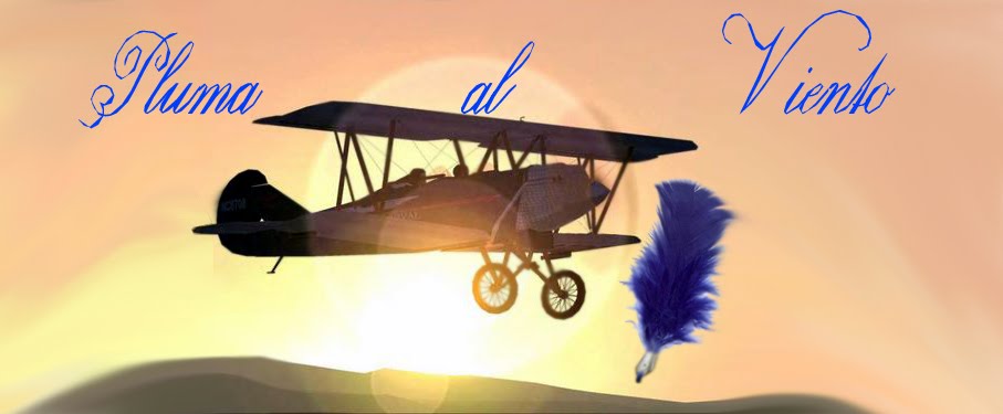 Pluma en el Viento