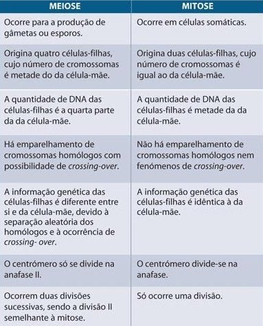 Mitose e meiose: tabela comparativa e exercícios - Escola Kids