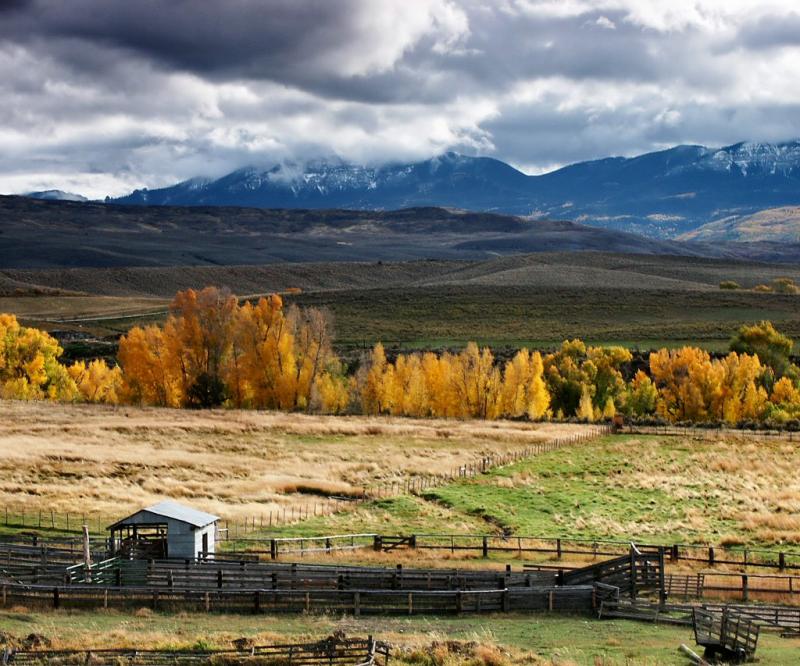[Autumn+in+Colorado.jpg]
