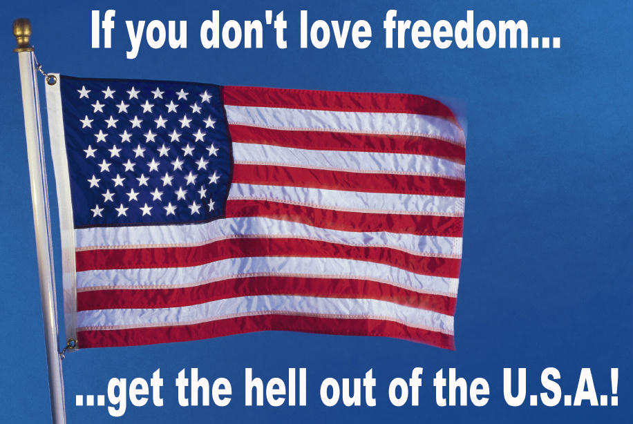 [flag-freedom.jpg]