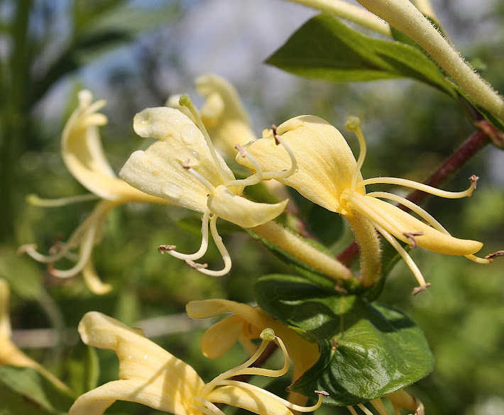 Photography with a Southern Accent