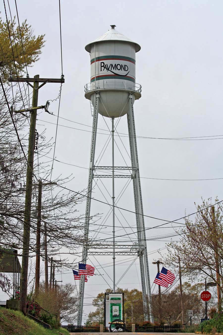 Southern Lagniappe Water Towers