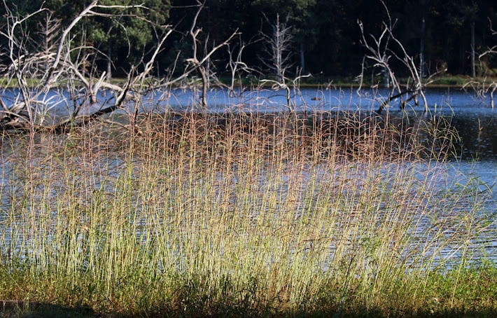 Sanctuary Lake