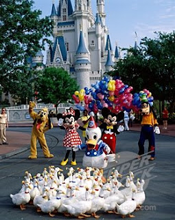 walt disney world