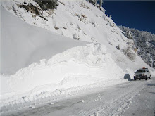 Another Avalanche pic