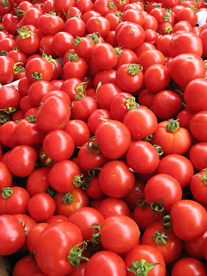 How many different kinds of tomatoes are there?