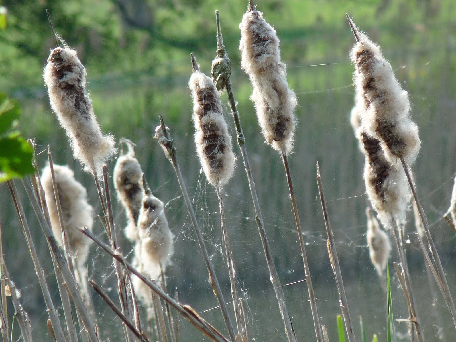 H E R Z E N S S A C H E Uber Die Liebe 1 Korinther 13 4 8