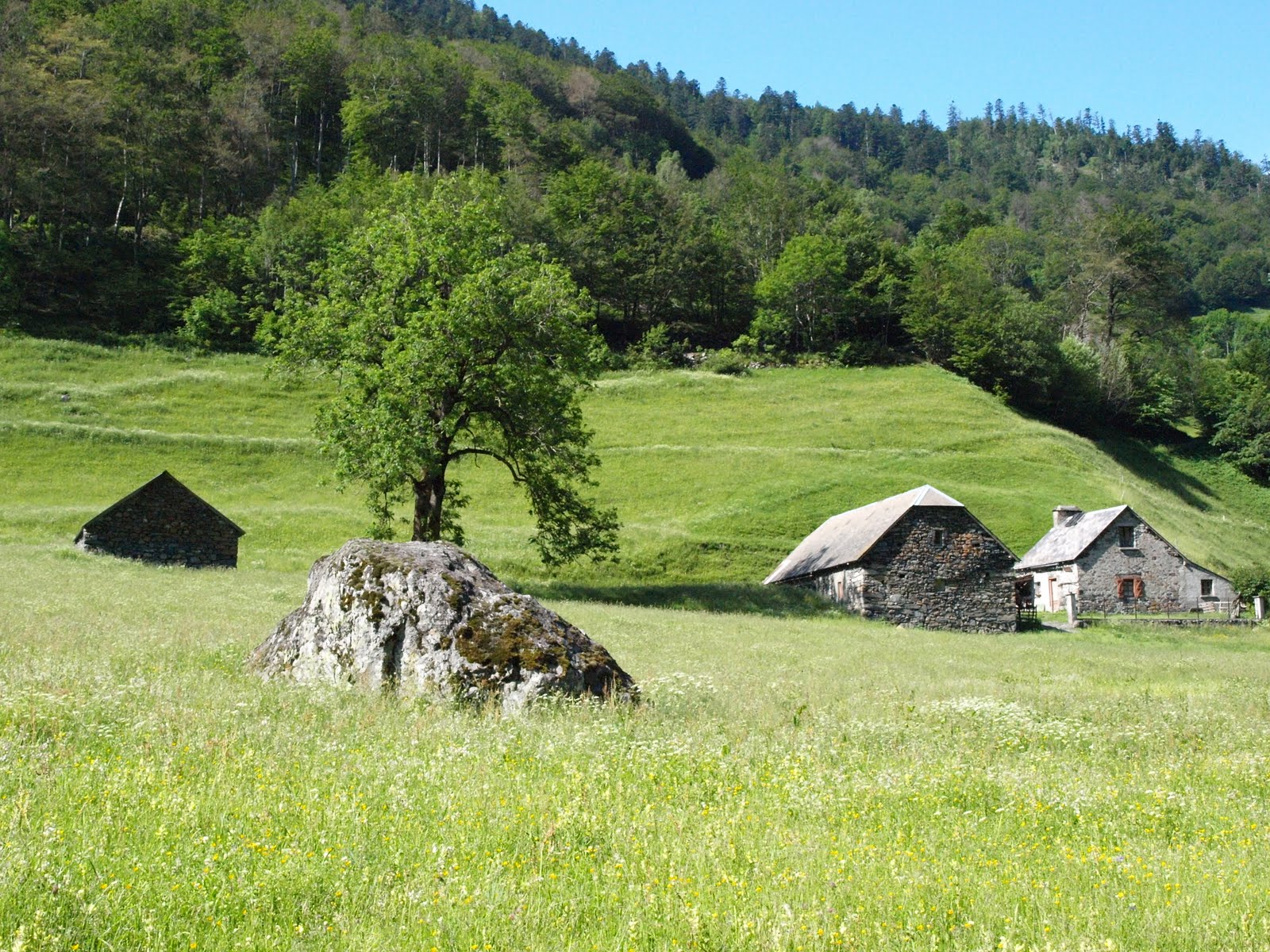 rencontre cine montagne