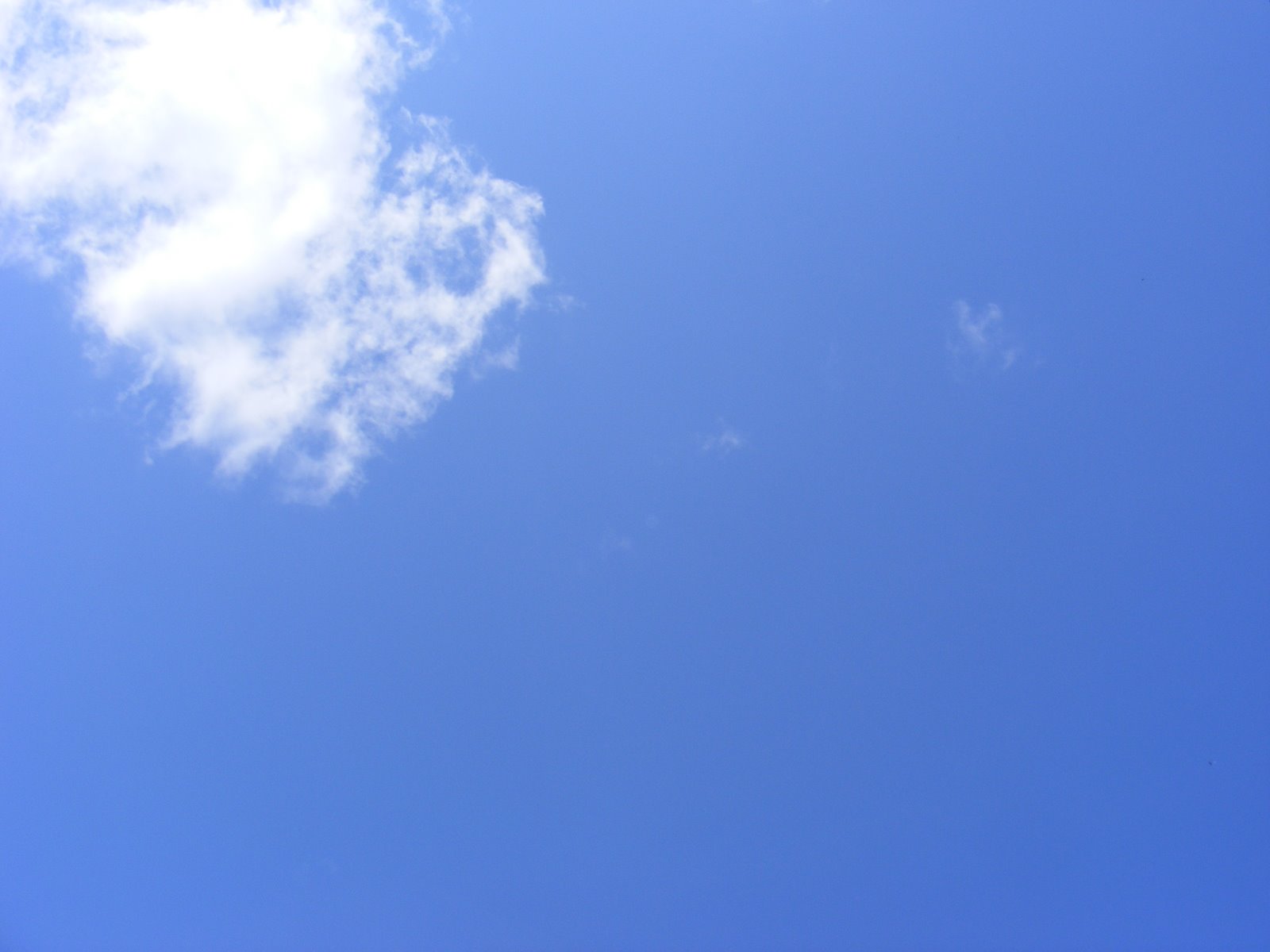 [clouds.JPG]