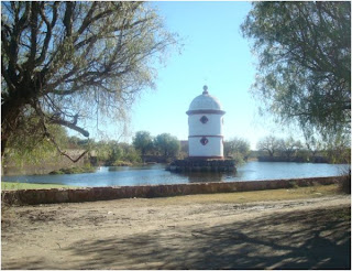 RED DE EMERGENCIA MEXICANA OPERACION DE CAMPO R.E.M. SALINAS DE