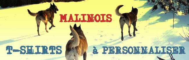 le blogshop du malinois