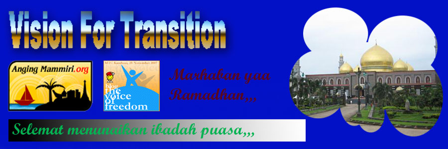 Vision For transition