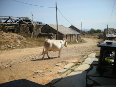 Foncebadon