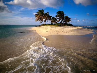 Leto - Page 4 Sandy+Island,+Anguilla,+Caribbean