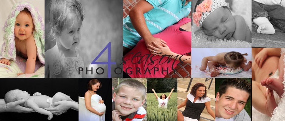 Four Seasons Photography