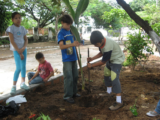 LO ESENCIAL DEL JARDIN