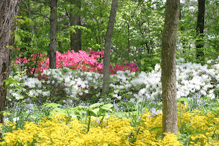 Dorothy Newcomb S Inspiring Arrangements For Home And Garden Azaleas