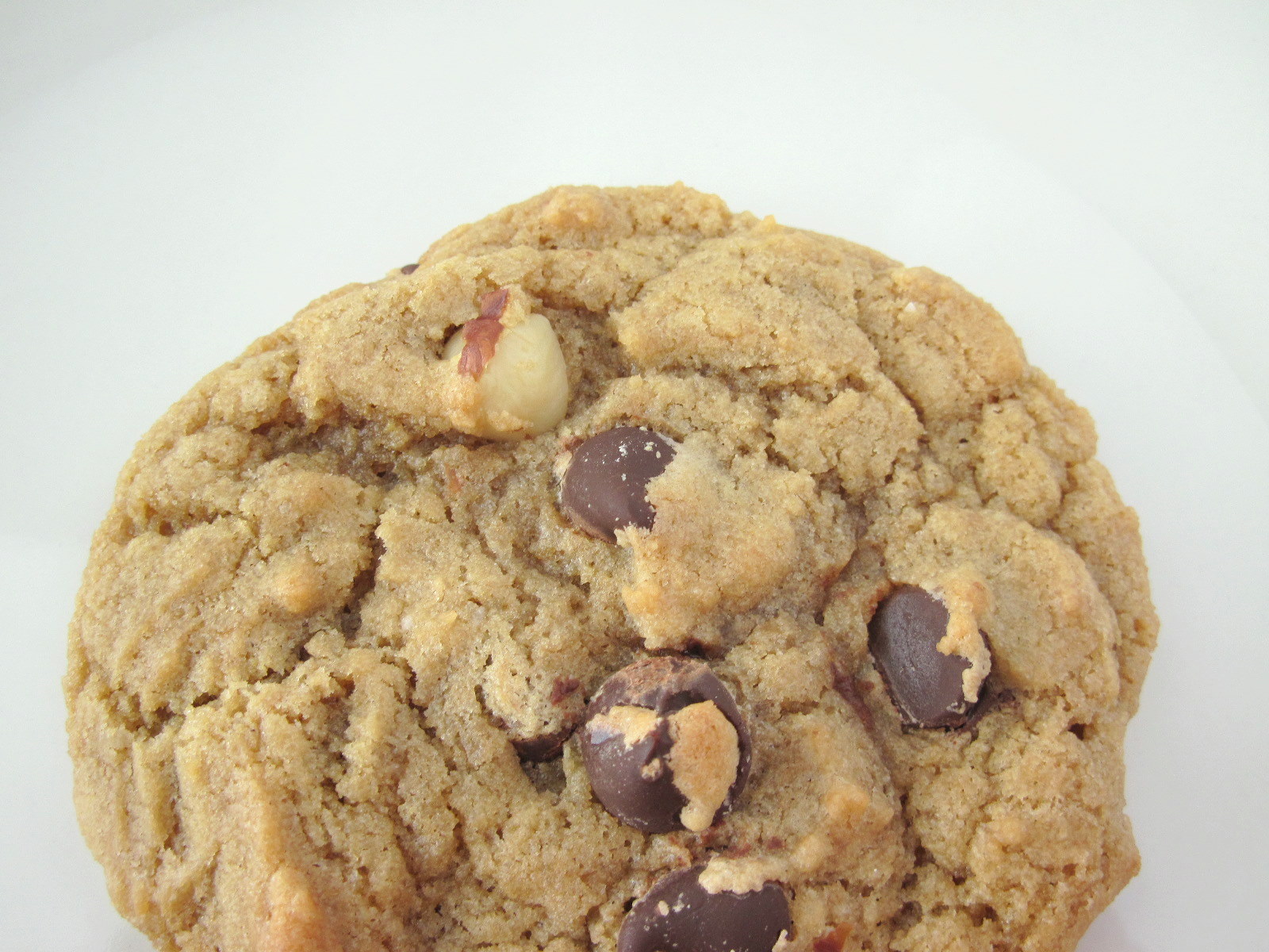 Chocolate Chip Carpet Bugle Chocolate Chip Carpet Bugle