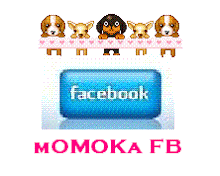 JUST KLIK : MOMOKA FACEBOOK