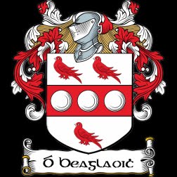 O'Beaglaoic Coat Of Arms