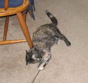 She loves to wrestle with it. She loves to wrestle with it.