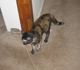 She loves to carry it around. She loves to carry it around.