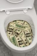 Toilet Paper Money