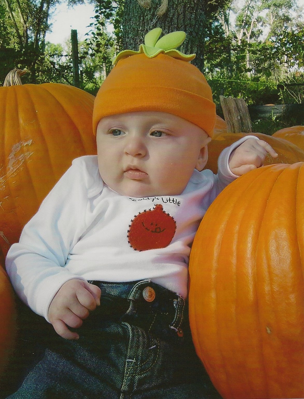 [SCAN0020.JPG]