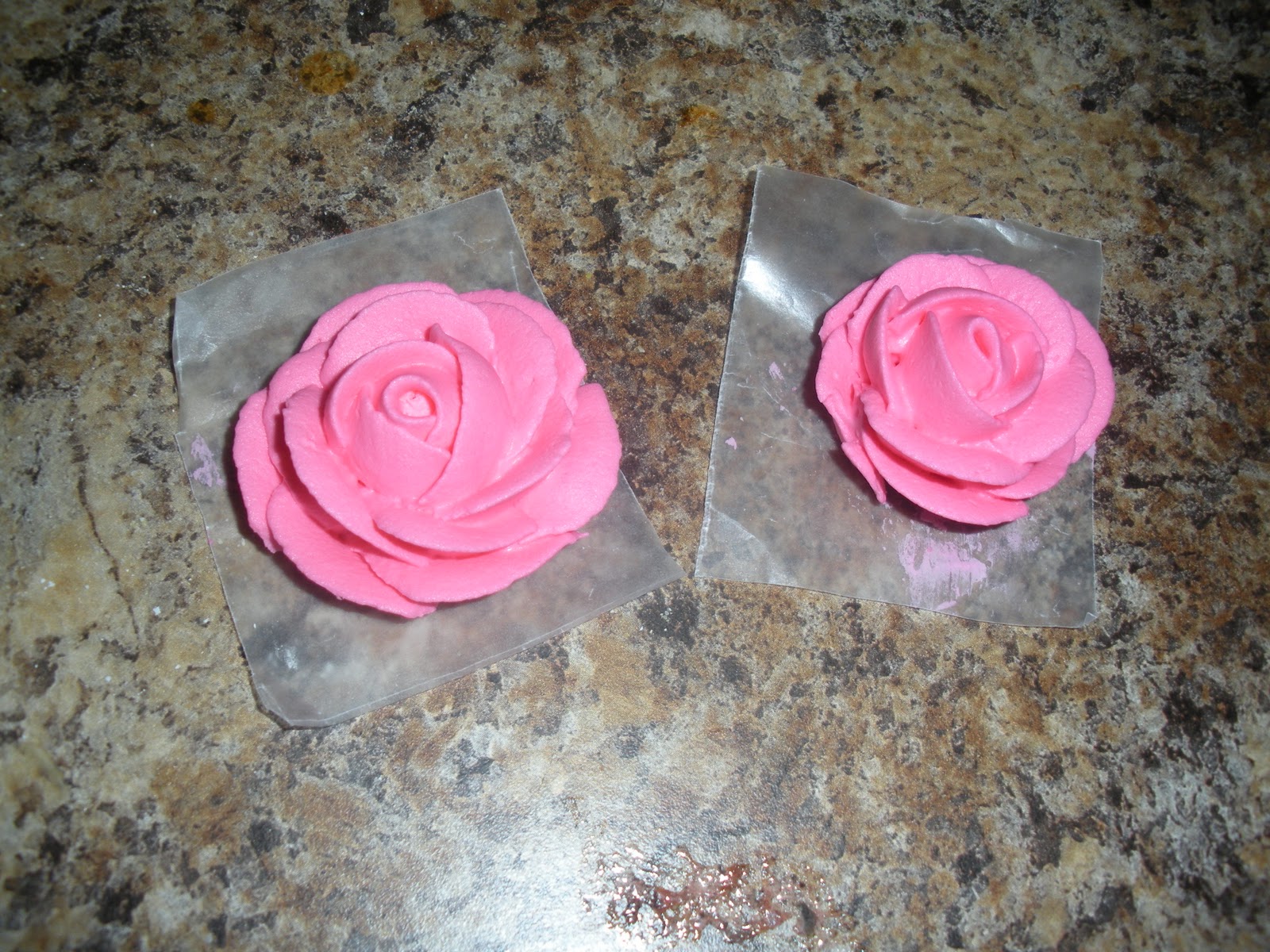 Our Life in Sunny Arizona Cake Decorating