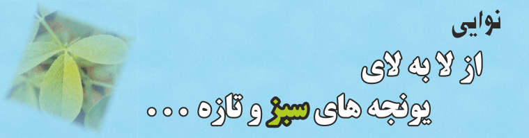 نوایی از لا به لای یونجه های سبز و تازه . . .