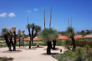Grass Trees
