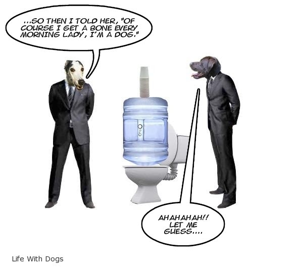 Nigel & Sola Watercooler Talk