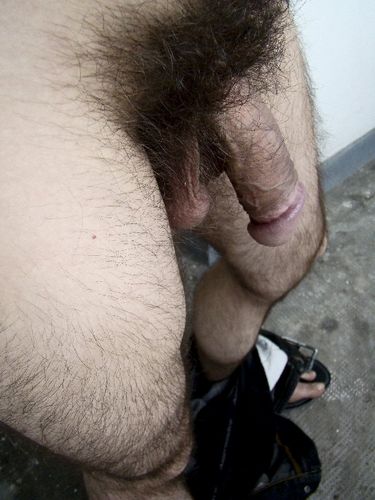 Hairy Dicks