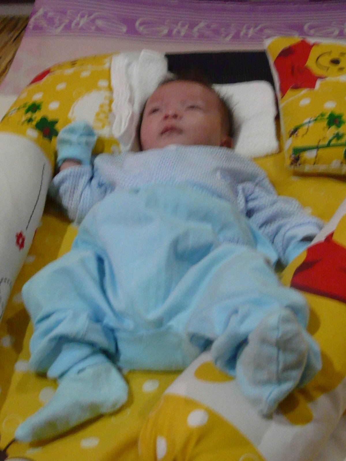 [P1050614.JPG]