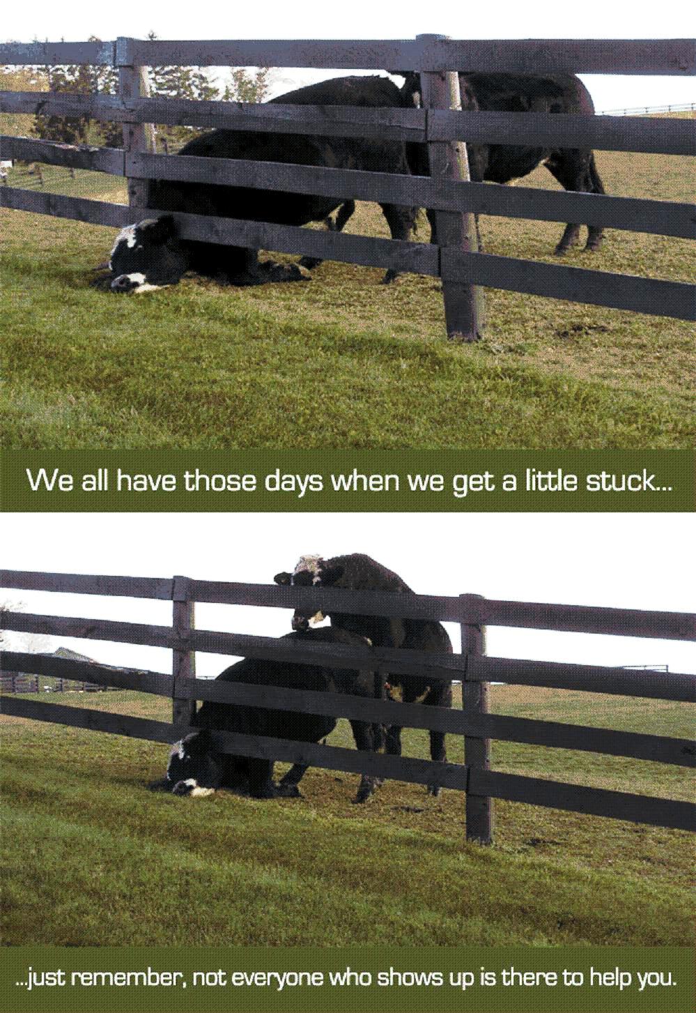 [help1.JPG]