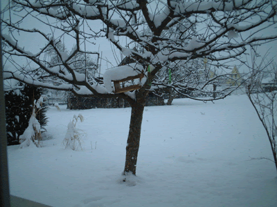 [web-winter06-3.gif]