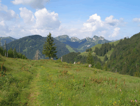 [web_Graeppalasee2_10juni07.gif]