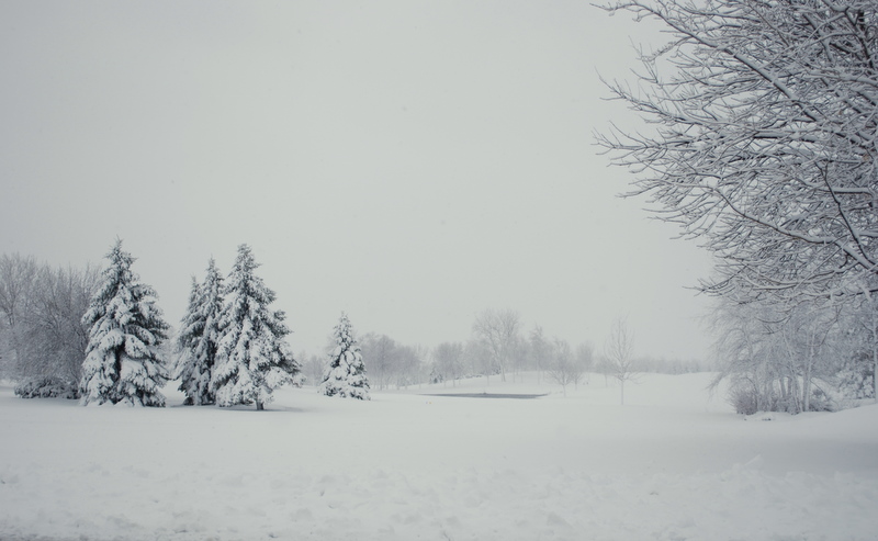 [DSC_1109.JPG]