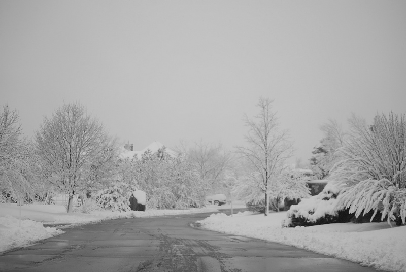 [DSC_1107.JPG]