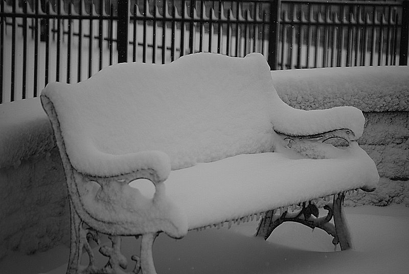 [DSC_1065.JPG]