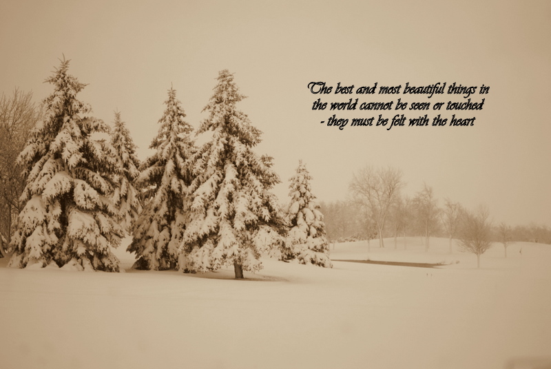 [DSC_1082-2.JPG]