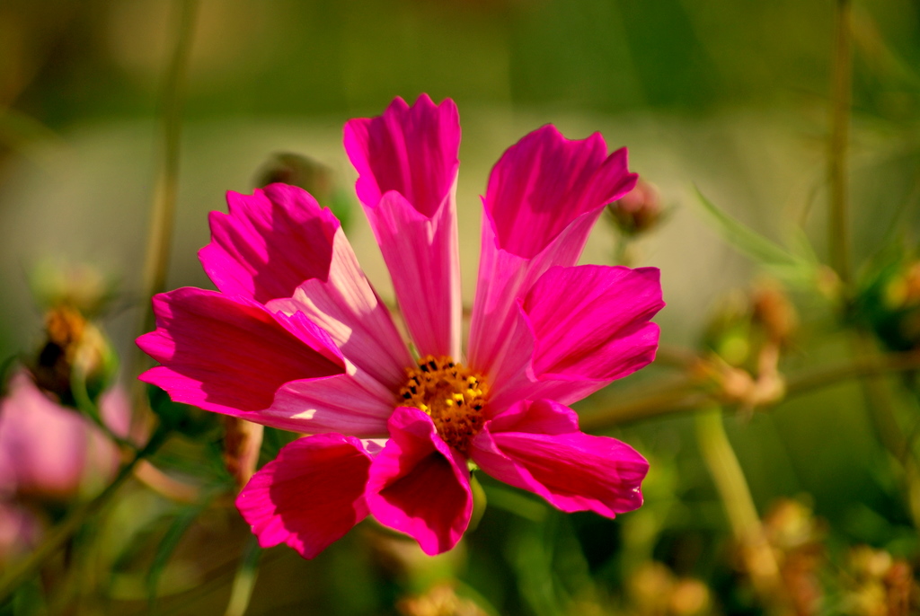 [DSC_0046-1.JPG]