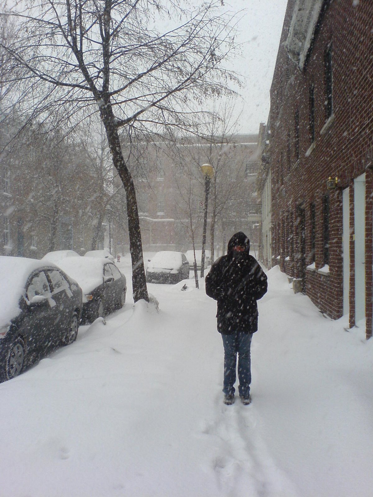 [DSC00200.JPG]