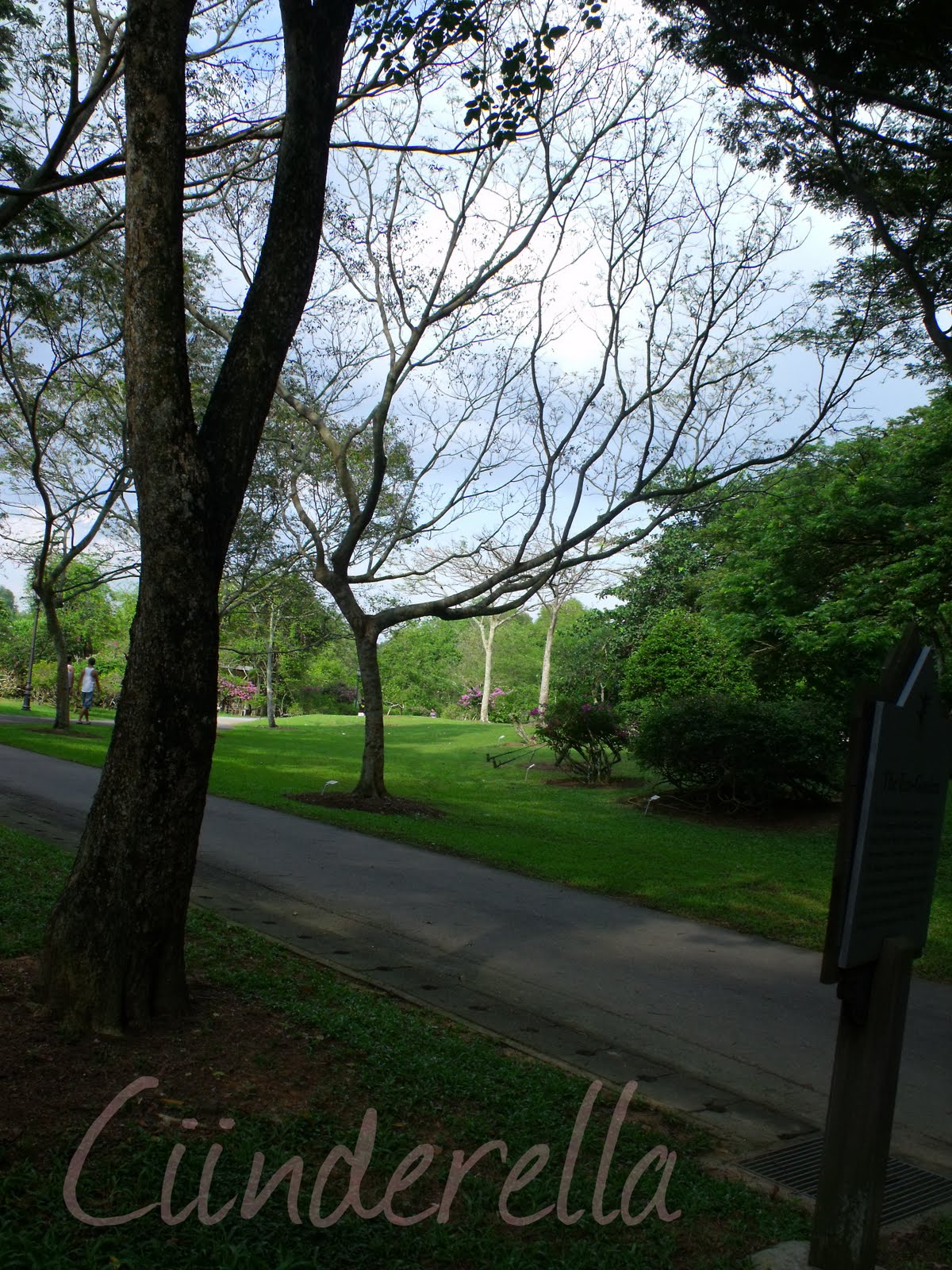 [DSCF0879.JPG]